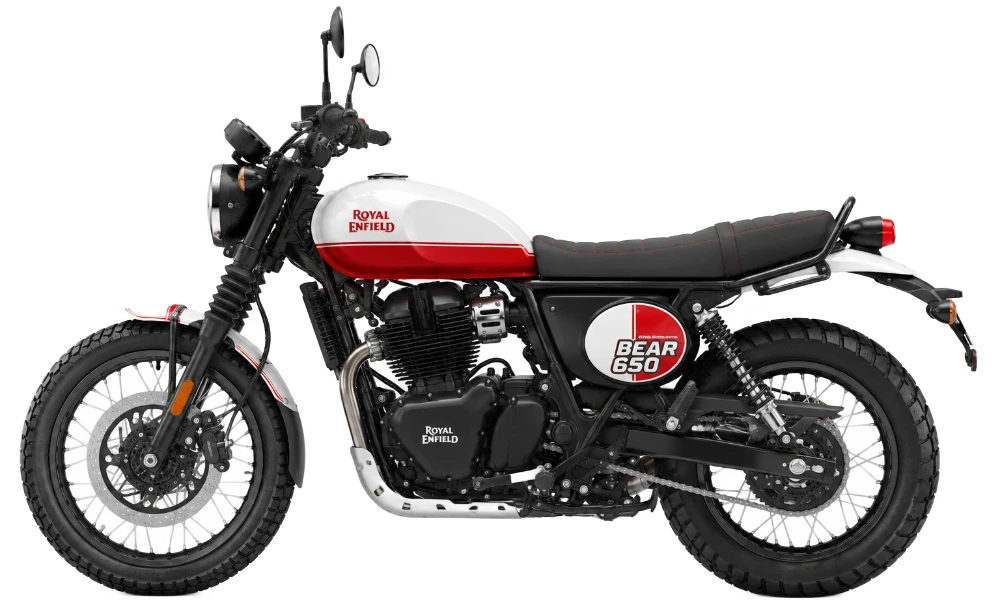 Bear 650 image