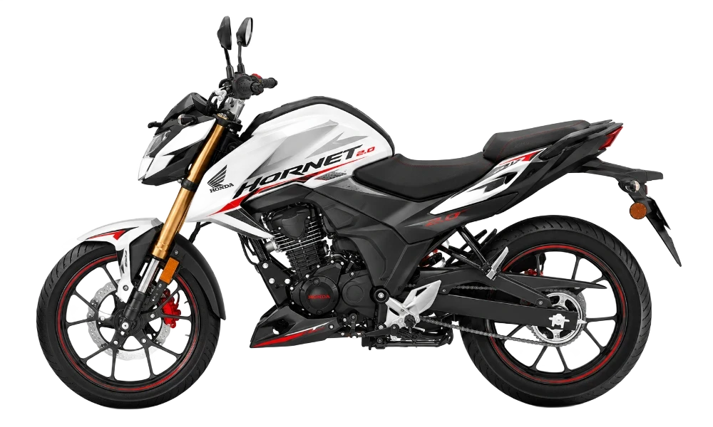 Hornet 2.0 image