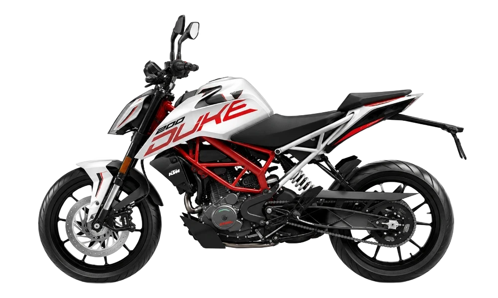 Duke 200 image