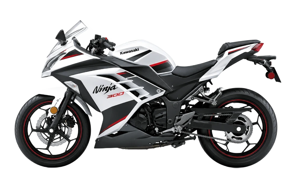 Kawasaki Ninja 300 image